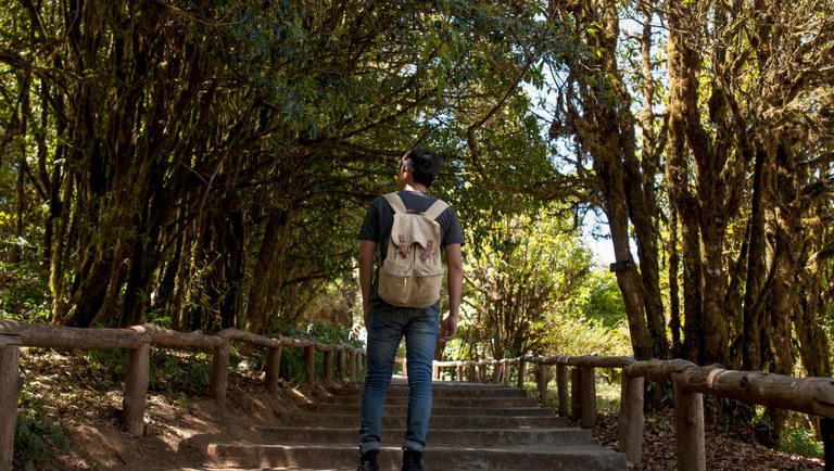 Ministério do Turismo Acelera Iniciativas em Parques Nacionais para Impulsionar o Turismo Sustentável Imagem do artigo