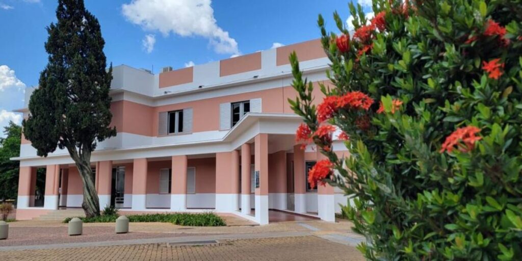 Governo de Goiás Investe R$ 1 Milhão em Edital para Cultura Negra e Quilombola Imagem do artigo