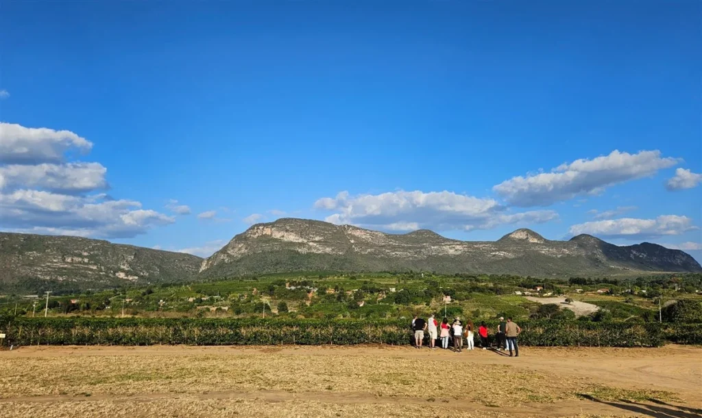 Bahia pode ter sua própria ‘Estrada das Vinícolas’ para impulsionar o turismo Bahia pode ter sua própria 'Estrada das Vinícolas' para impulsionar o turismo