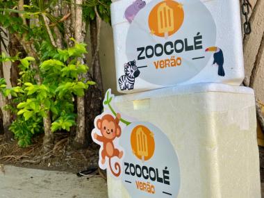 Verão no Parque Zoobotânico da Bahia: Cuidados Especiais para o Bem-Estar Animal