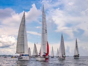29ª Edição da Regata Salvador-Ilhéus: Uma Aventura Náutica Imperdível