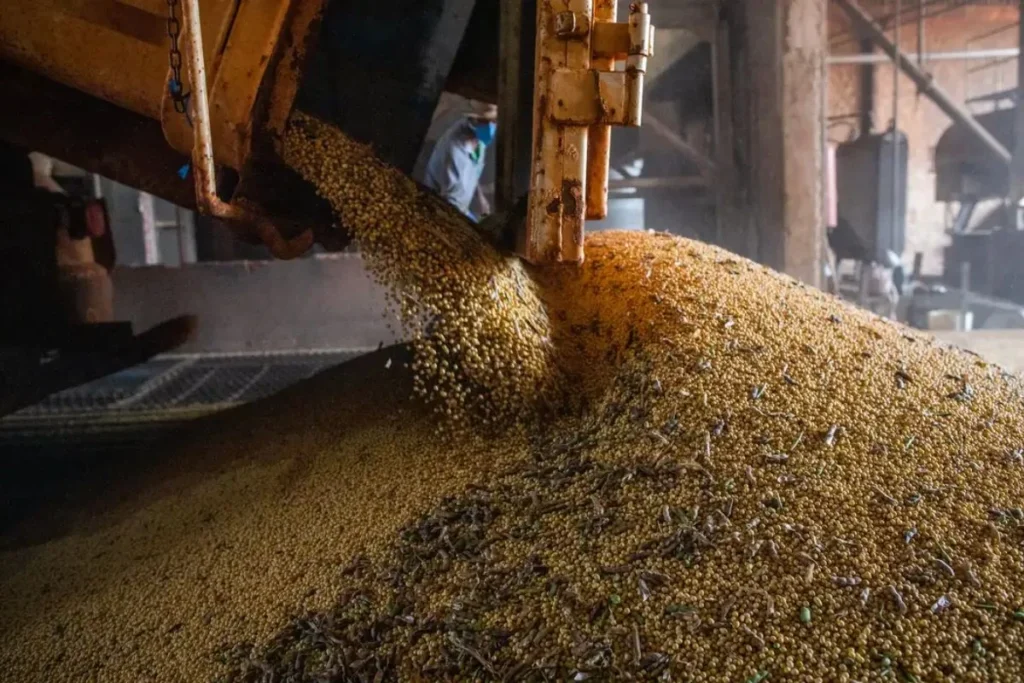 Crescimento da Economia da Bahia em 2025: Indústria e Agro como Fatores-chaves