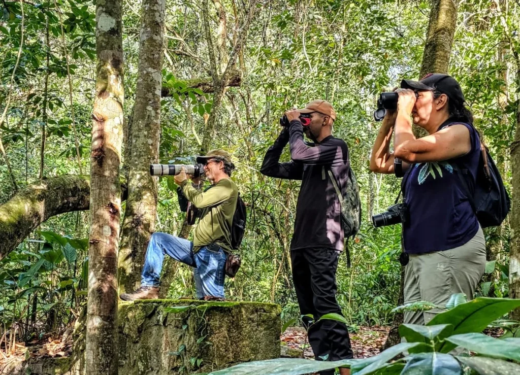 Edital Estadual Impulsiona o Turismo de Observação de Aves em Pernambuco