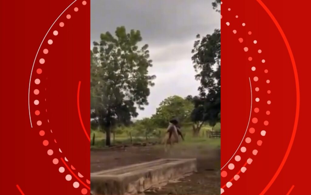 Homem a Cavalo Quase É Atropelado por Raio no Interior da Bahia