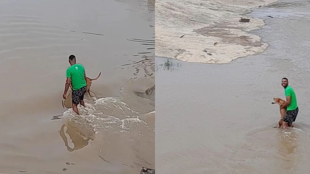Homem Enfrenta Enchente e Viraliza ao Salvar Cachorro Caramelo na Bahia