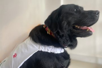 Hospital Ortopédico da Bahia Promove Reflexão sobre Saúde Mental em Janeiro Branco