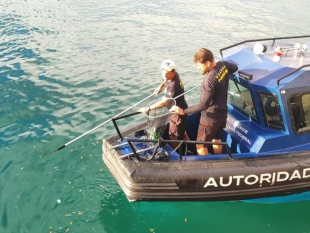 Operação Porto Limpo: Iniciativa Fundamental para a Preservação Ambiental em Salvador Operação Porto Limpo: Iniciativa Fundamental para a Preservação Ambiental em Salvador