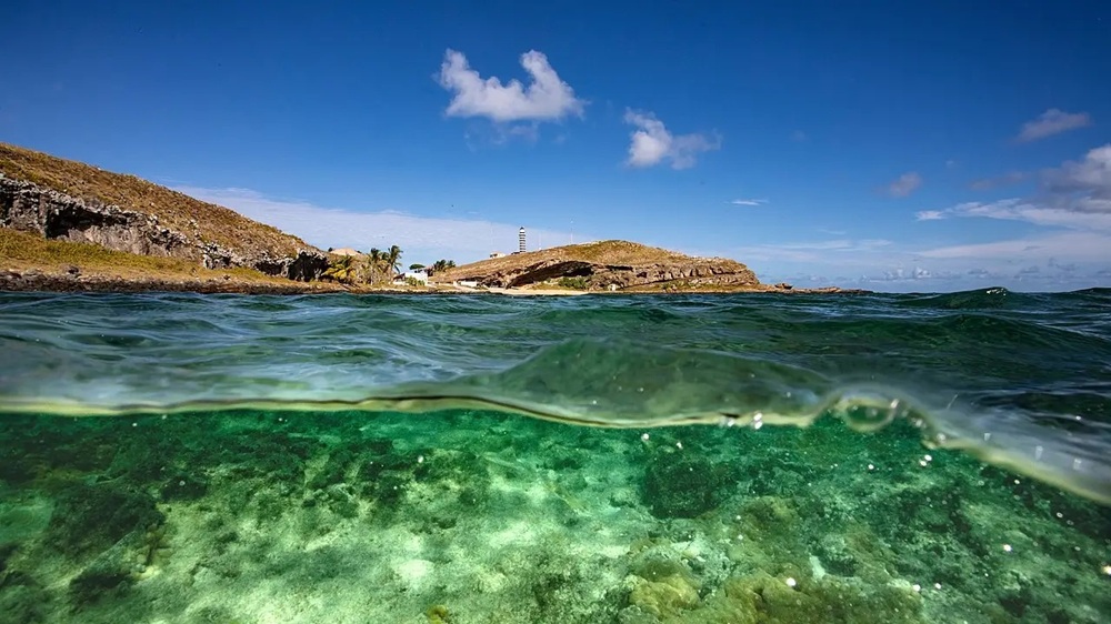 Parque de Abrolhos: Bahia Avança em Busca de Reconhecimento da Unesco