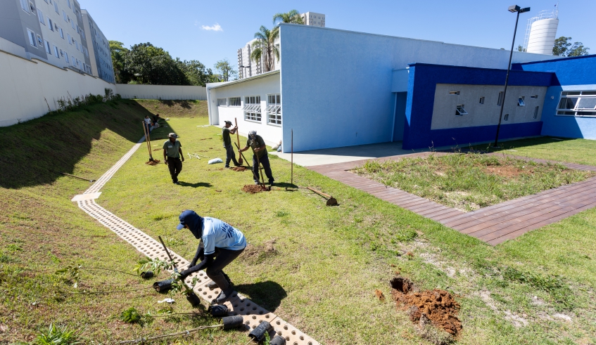 Projeto Brotos de Mogi Inicia Plantio de Mudas em Escola Municipal Projeto Brotos de Mogi Inicia Plantio de Mudas em Escola Municipal