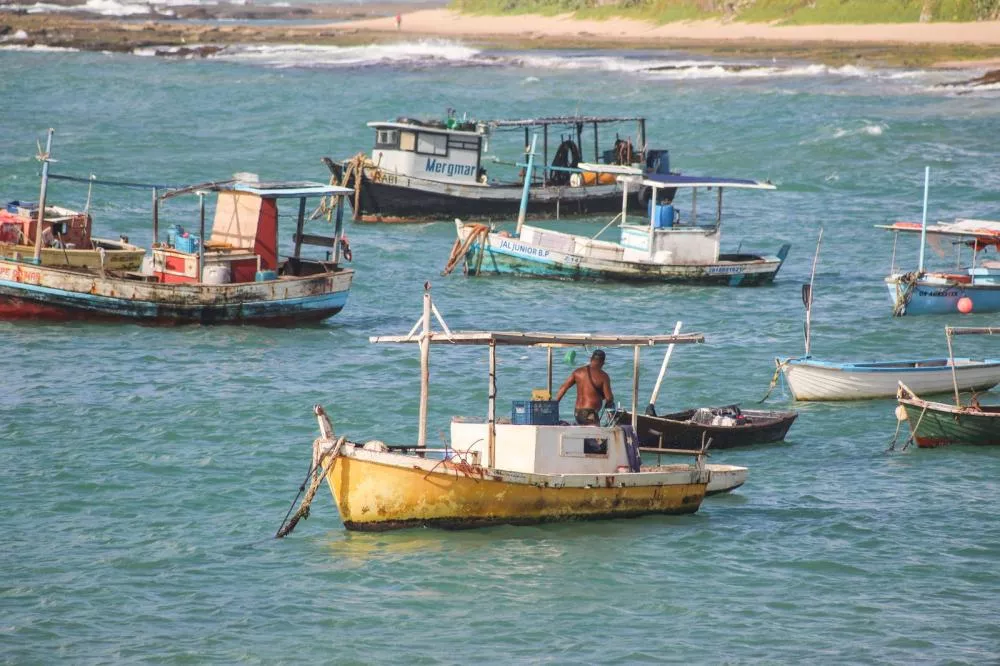 Recadastramento do Programa Mais Pesca em Camaçari Começa em Fevereiro