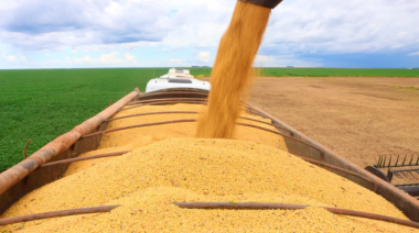 Recorde de Grãos na Bahia em 2025: Produção Chega a 12,8 Milhões de Toneladas