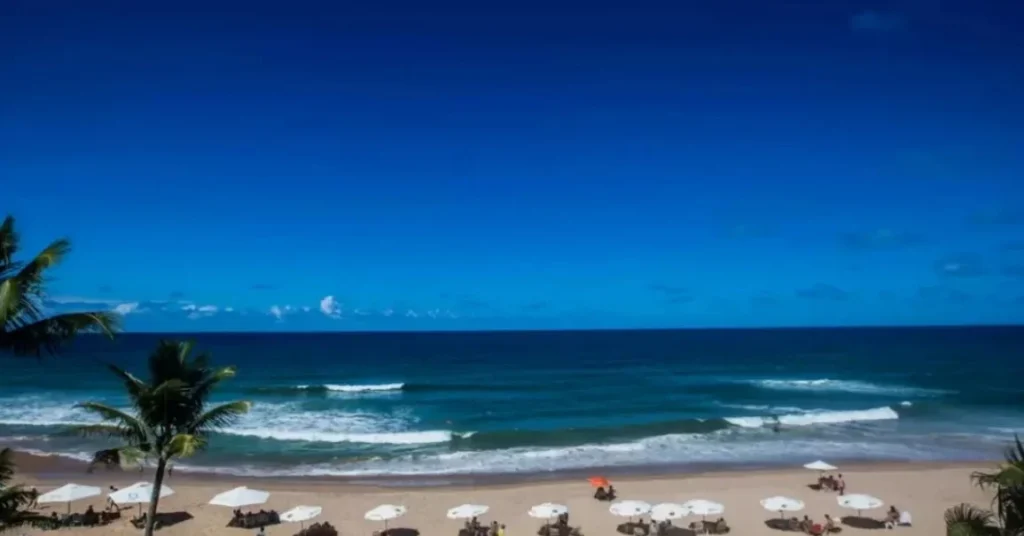 Salvador Tem Ano Histórico na Hotelaria com Itapuã e Stella Mares em Alta
