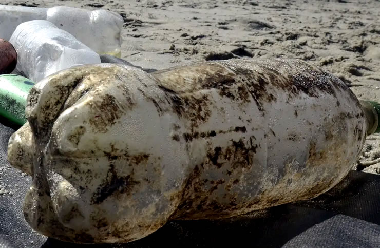 Verão na Bahia: O Desafio do Aumento do Lixo e seu Impacto no Turismo