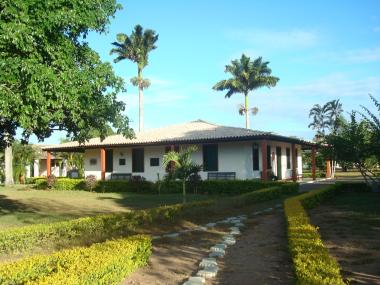 Virada Cultural de Verão no Parque Castro Alves: Arte e Lazer em Cabaceiras do Paraguaçu Virada Cultural de Verão no Parque Castro Alves: Arte e Lazer em Cabaceiras do Paraguaçu