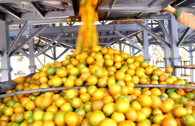 Bahia entre os Dez Maiores Produtores de Grãos do Brasil em 2026