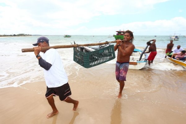 Bahia Implementa Nova Lei para Promover a Pesca e Aquicultura Sustentável
