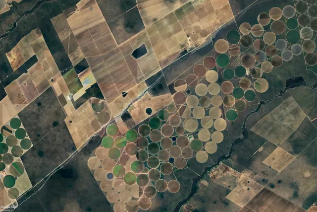 Inação do Governo Baiano Afeta Animais Silvestres no Agronegócio