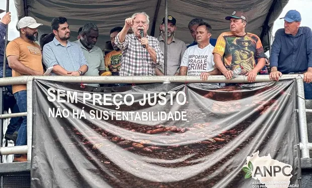 Queda de até 75% no Preço do Cacau: Pará e Bahia Reagem com Pedidos de Restrição às Importações