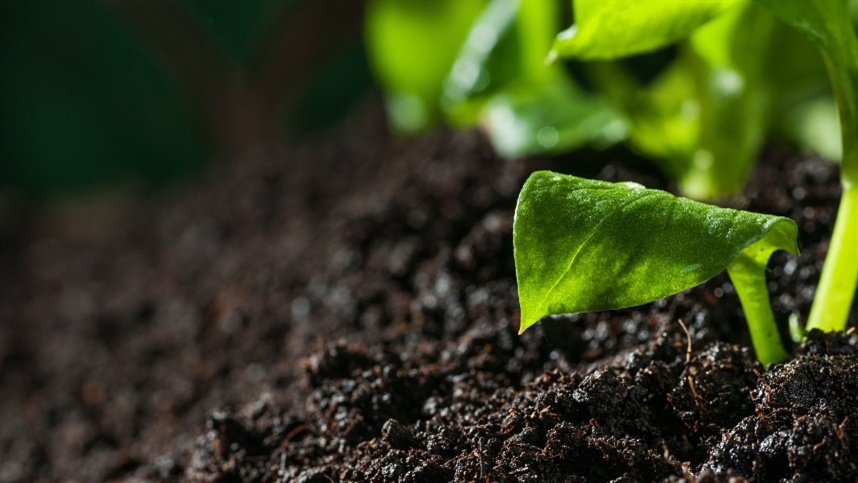 Saúde do Solo: A Nova Prioridade no Agronegócio Brasileiro