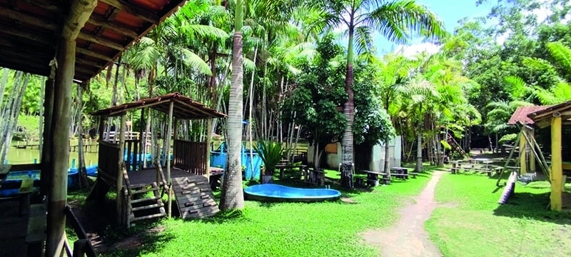 Turismo Rural no Espírito Santo: Histórias de Empreendedores Transformadores