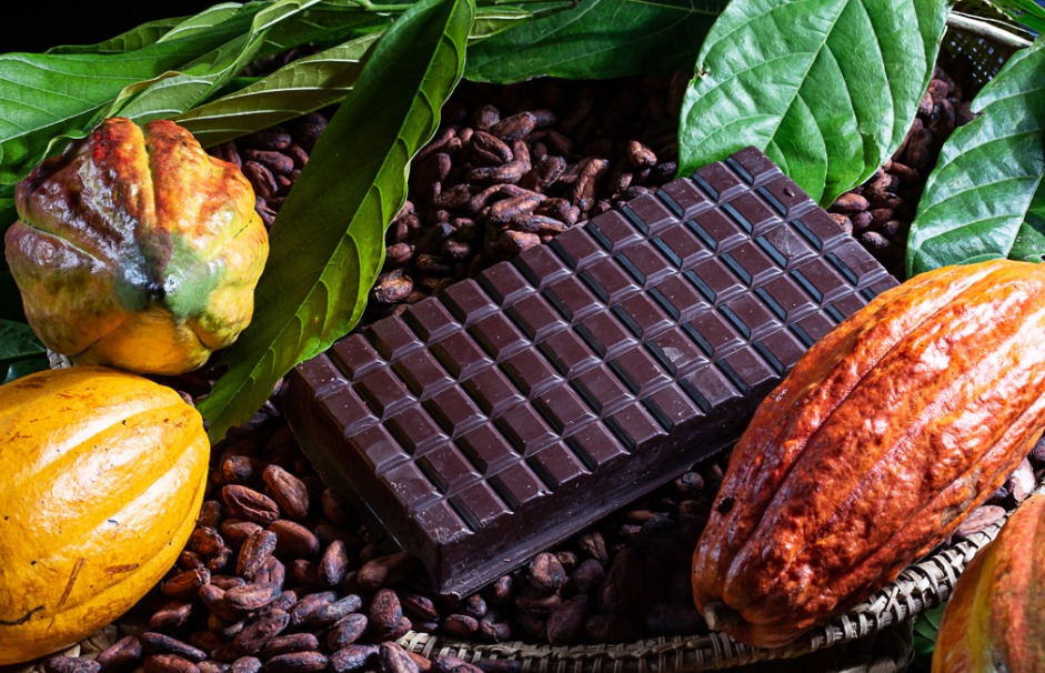A Produção de Chocolates da Agricultura Familiar no Sul da Bahia Cresce com a Páscoa A Produção de Chocolates da Agricultura Familiar no Sul da Bahia Cresce com a Páscoa