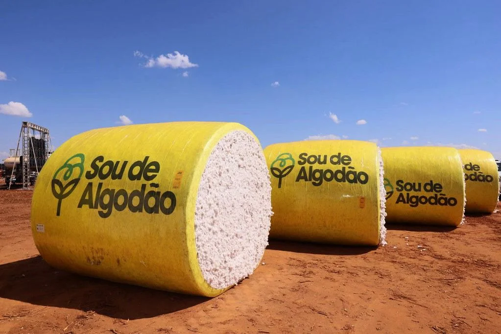 Agronegócio Baiano: 22,1% da Economia em 2025 e Crescimento Real de 4,0%