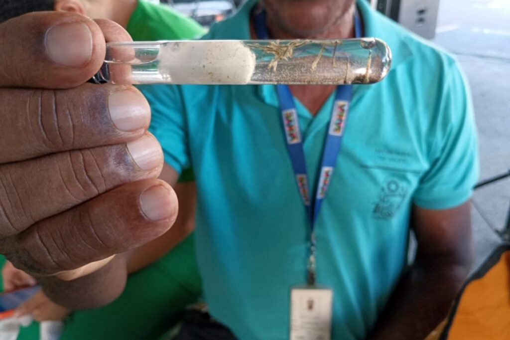 Bahia Implementa Novas Regras para Acesso a Imóveis e Combate Arboviroses