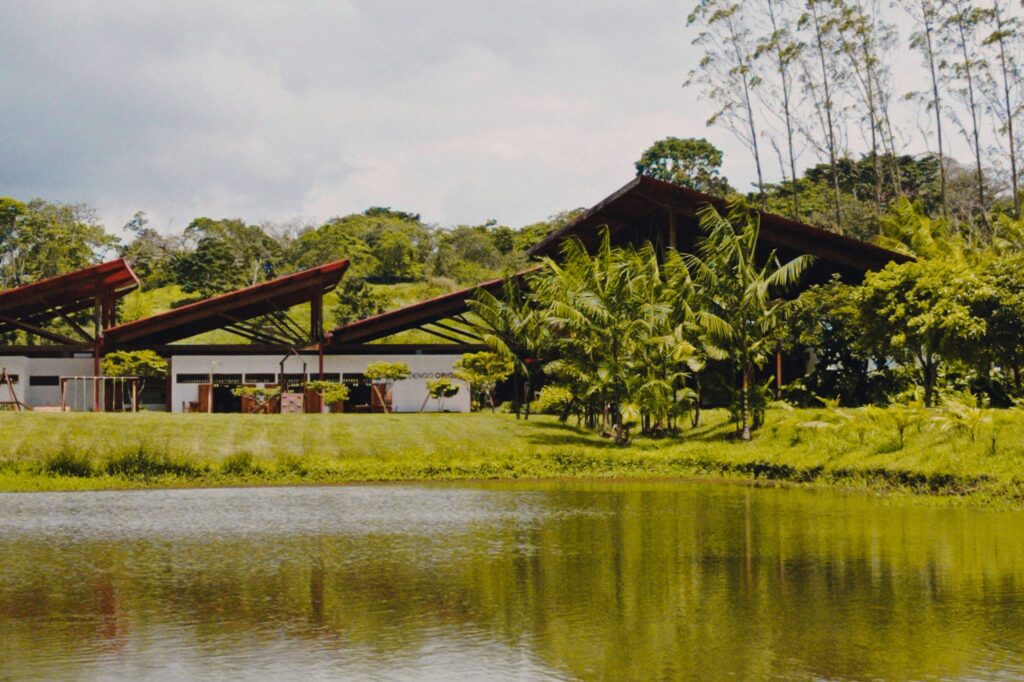 Cabrucarte: Evento Cultural Gratuito Celebrará a Cultura do Cacau em Ilhéus