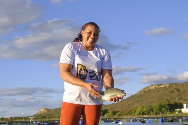 Cooperativa de Sobradinho Registra Aumento de 100% nas Vendas de Tilápia e Espera Crescimento na Sem