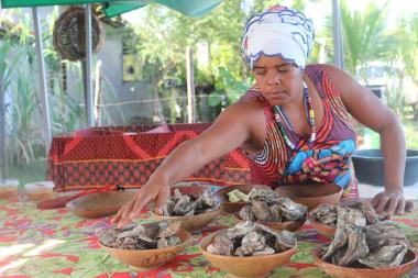 Descubra o Turismo Rural de Base Comunitária na Bahia: Vivências Culturais e Natureza