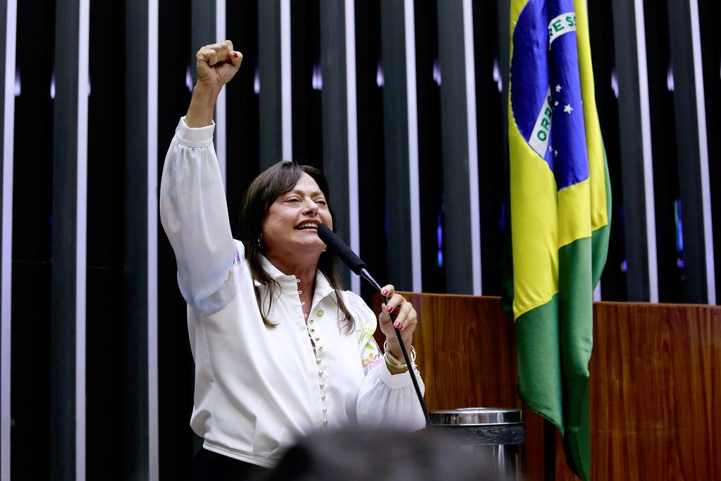 Prioridade Nacional: A Vida das Mulheres no Brasil em Foco