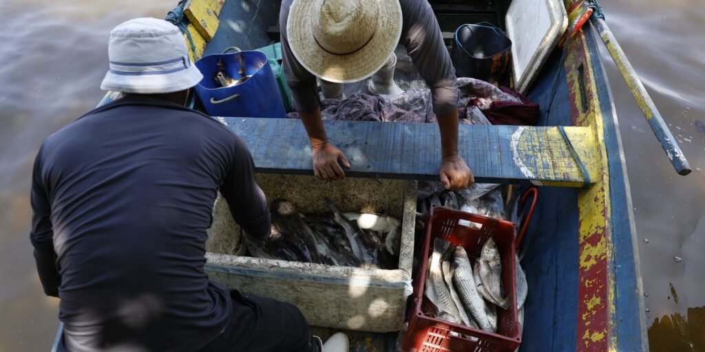 Sexto Lote do Seguro-Defeso Beneficia Mais de 110 Mil Pescadores