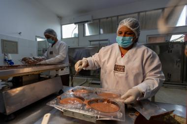 Bahia Cacau: Revolução da Agricultura Familiar Transforma Vidas e Gera Renda no Campo