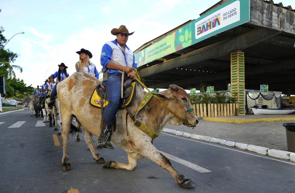 Calendário Agro na Bahia: Mais de 40 Eventos Até 2026 Calendário Agro na Bahia: Mais de 40 Eventos Até 2026