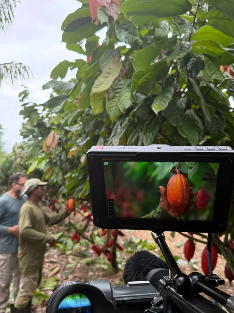 Inovação na Fazenda Vila Opa: Tecnologia e Sustentabilidade na Produção de Cacau