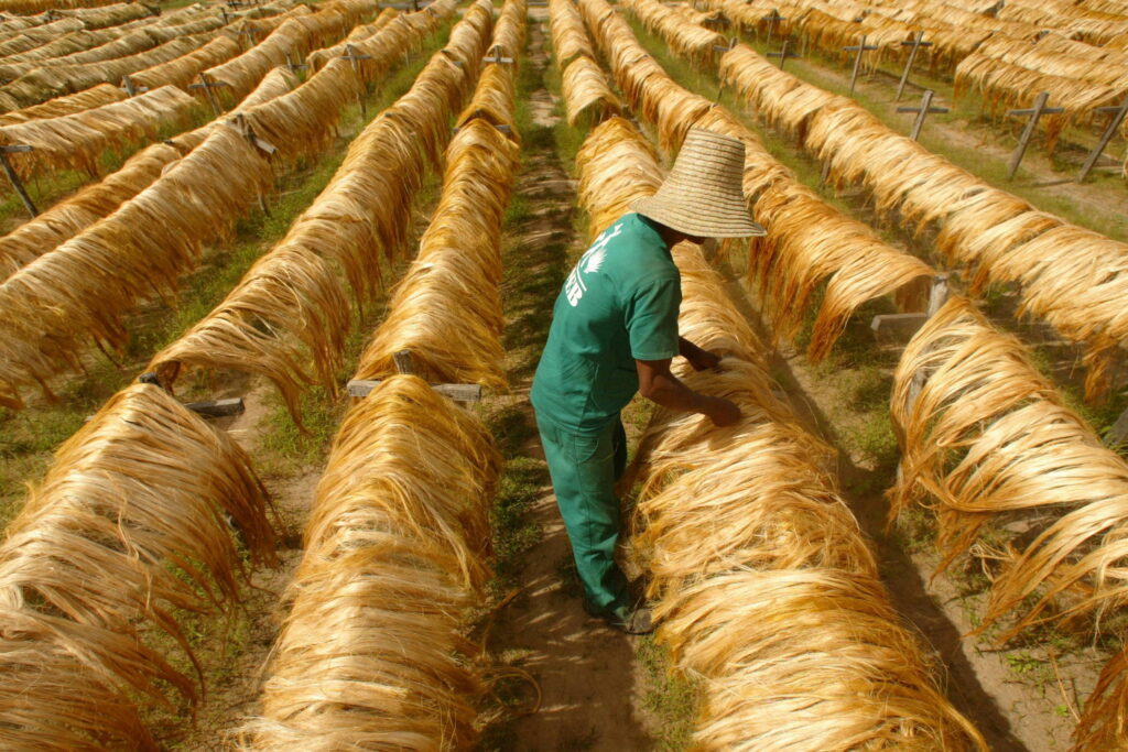 Interferência do Ministro do Trabalho Retira Associação Ligada ao PT da Lista Suja