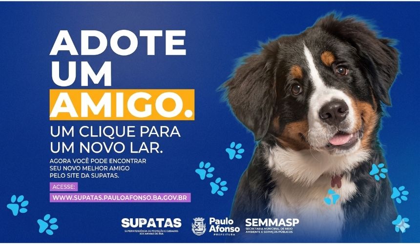 Plataforma Digital de Adoção Responsável de Animais em Paulo Afonso