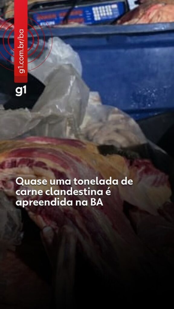 Quase uma tonelada de carne clandestina é apreendida no interior da Bahia