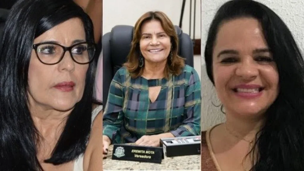 Produção Feminina na Câmara Municipal de Feira de Santana: 40 Anos de Representação