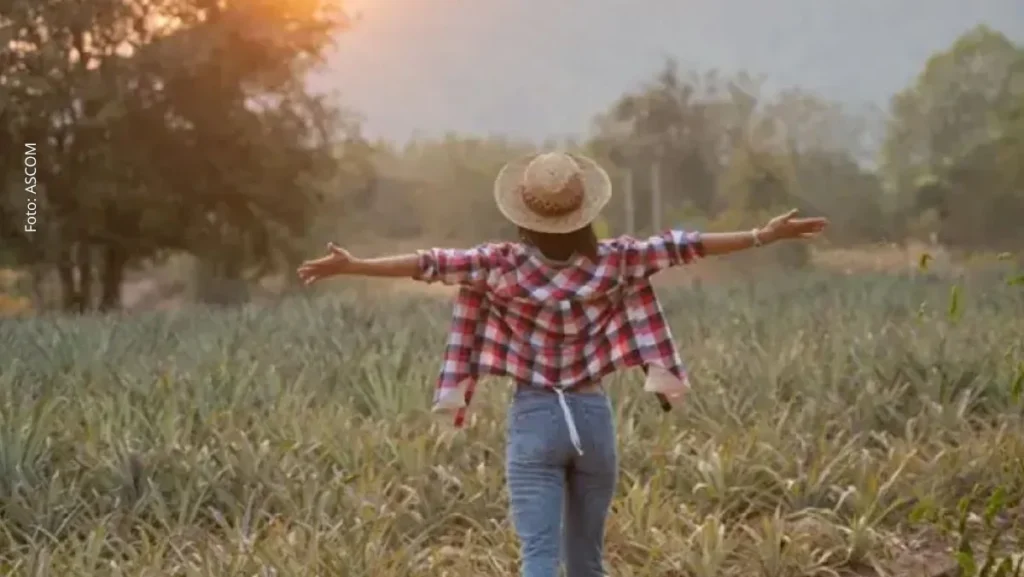 Turismo Rural na Bahia: Crescimento e Seminário em Santo Antônio de Jesus para Impulsionar Economia