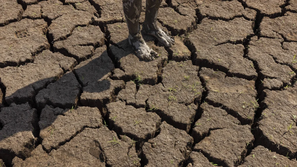 El Niño Inicia e Deve Se Tornar Moderado ou Forte, Afetando Economia e Clima em 2024