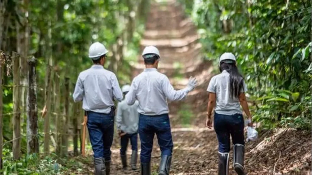 Veracel movimenta R$ 409 milhões na economia do Sul da Bahia e preserva mais de 100 mil hectares de Mata Atlântica em 2025 Veracel movimenta R$ 409 milhões na economia do Sul da Bahia e preserva mais de 100 mil hectares de