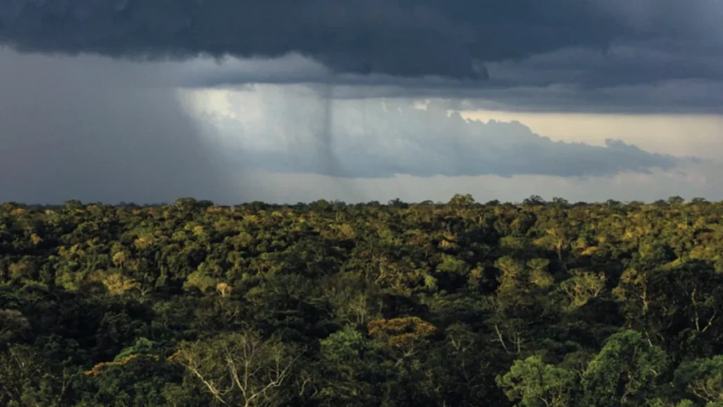Mudanças Climáticas Agravam Sensibilidade das Chuvas ao Desmatamento na Amazônia até 2050
