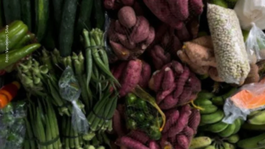 Salvador Recebe 5º Encontro Nacional de Pesquisas em Gastronomias com Foco em Cultura e Saberes Trad