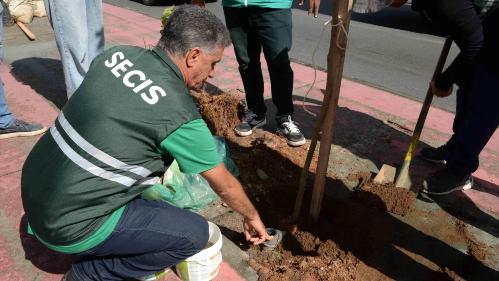 Prefeitura de Salvador lança programa Plante no Passeio para ampliar arborização urbana