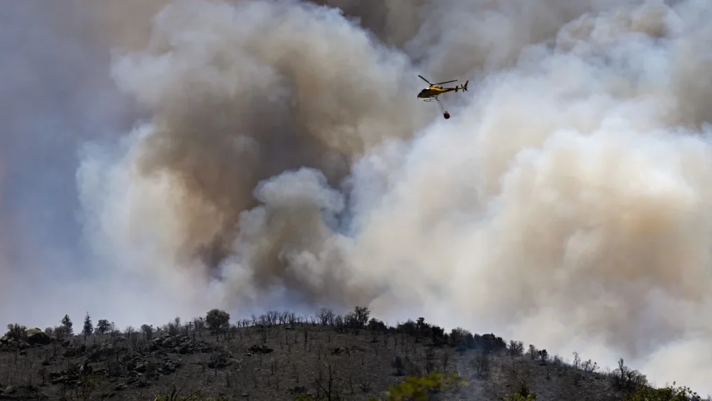 Incêndios e Calor Extremo Devastam Mais de 17 Mil Hectares de Florestas na Europa