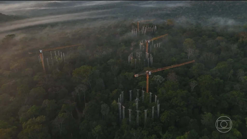 Máquina na Amazônia simula clima do futuro e revela impactos das mudanças climáticas Máquina na Amazônia simula clima do futuro e revela impactos das mudanças climáticas